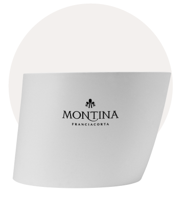 spumantiera 5 bottiglie