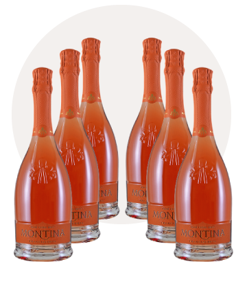Rose exra brut DOCG 6 bottiglie