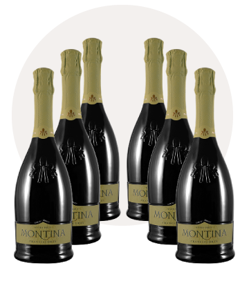 franciacorta EXRA brut DOCG 6 bottiglie