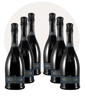 franciacorta Millesimato brut 6 bottiglie