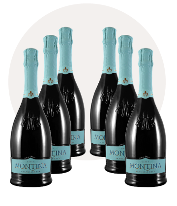 franciacorta Saten DOCG 6 bottiglie